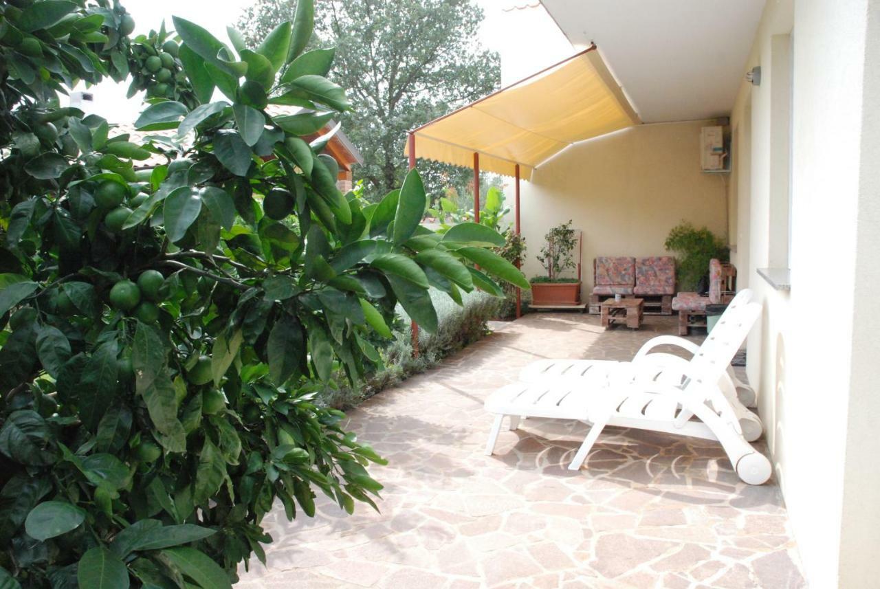 Apartmani Radin Rosini Εξωτερικό φωτογραφία