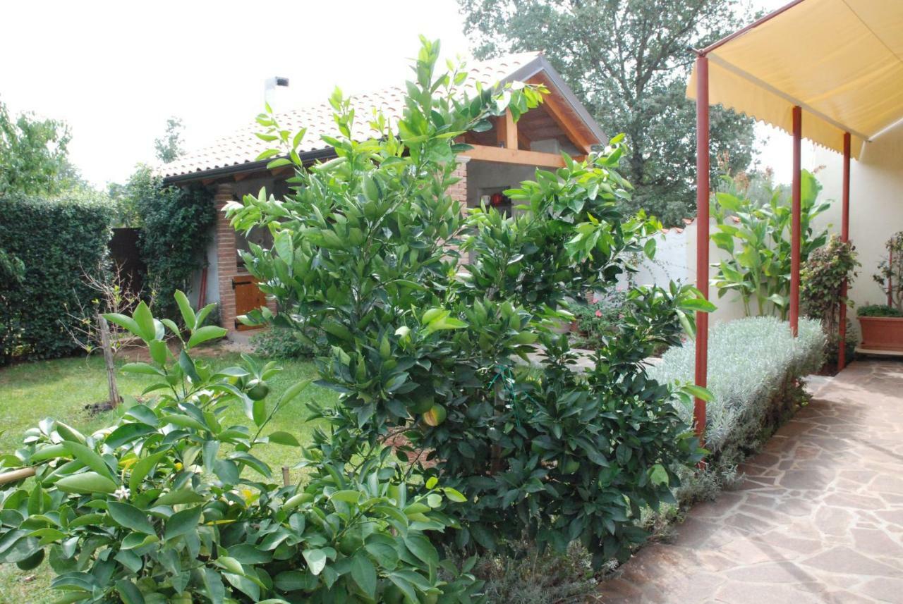 Apartmani Radin Rosini Εξωτερικό φωτογραφία